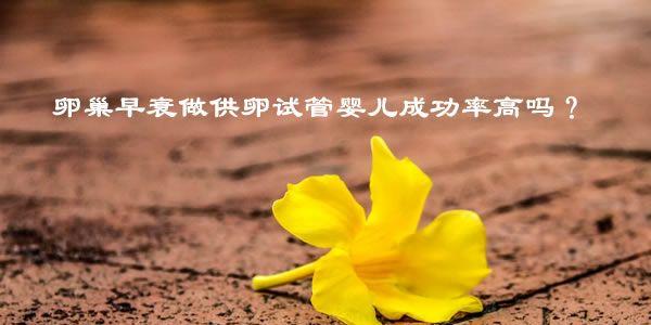 卵巢早衰做供(借)卵<a style='border-bottom:1px dashed #F00;color:#3a7fde;cursor:pointer;' href='https://www.yi-yun-tong.com/article-2828.html  '><a style='border-bottom:1px dashed #F00;color:#3a7fde;cursor:pointer;' href='https://www.yi-yun-tong.com/article-2828.html  '>试管婴儿成功率</a></a>高吗