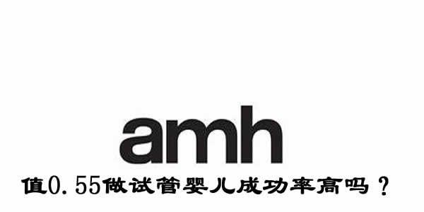 amhamh值0.55做<a style='border-bottom:1px dashed #F00;color:#3a7fde;cursor:pointer;' href='https://www.yi-yun-tong.com/article-2828.html  '>试管婴儿成功率</a>高吗