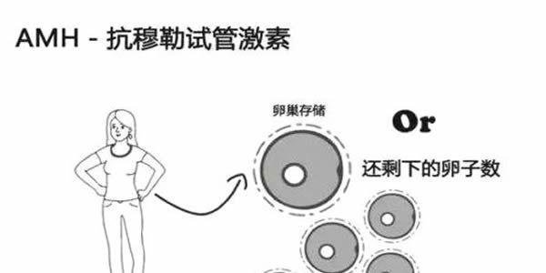 AMH值0.9还能自然怀孕吗