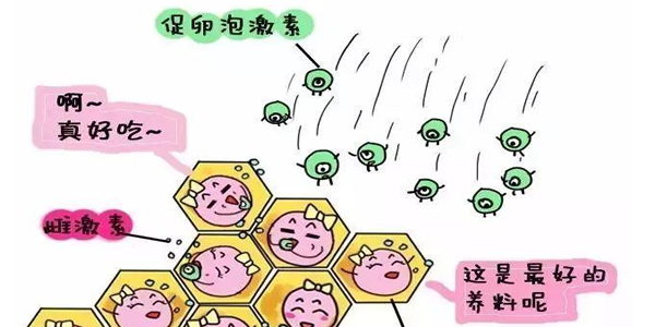 AMH值1.0还能自然怀孕吗