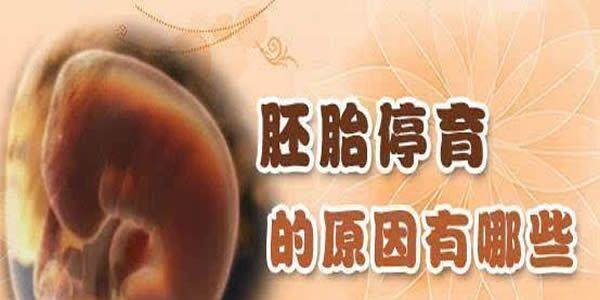 胚胎停止发育的原因