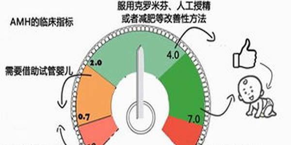 amh值的高低与女性生育能力究竟有什么关联