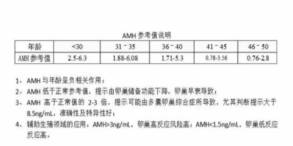 amh值的高低与女性生育能力究竟有什么关联