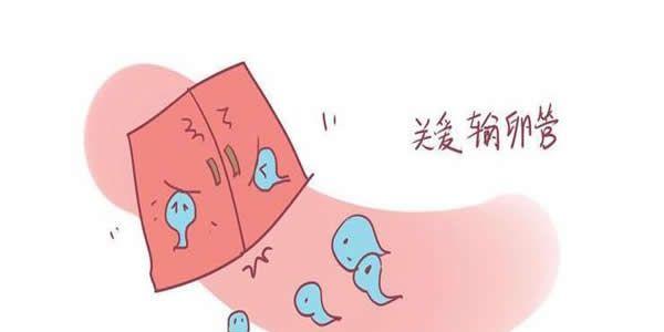 输卵管堵塞的症状