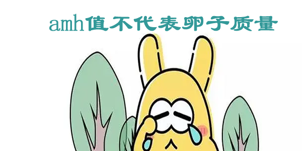 未命名-1.png