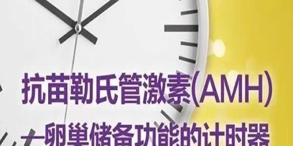 amh卵巢储备功能计时器