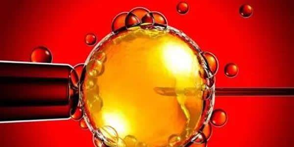 卵巢早衰可以做供(借)卵试管婴儿吗?成功率有多少