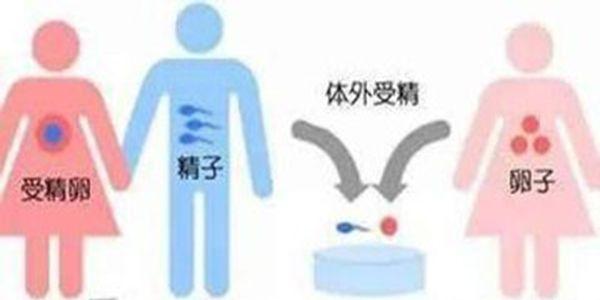 卵巢早衰可以做供(借)卵试管婴儿吗?成功率有多少