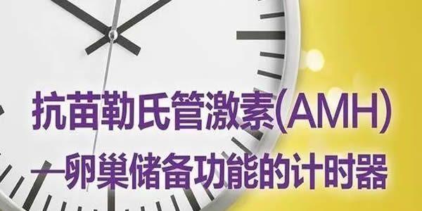 AMH值0.2还能自然怀孕吗
