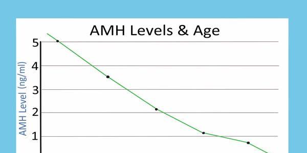 amh3.jpg