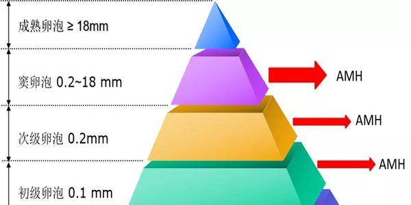 AMH值0.3还能自然怀孕吗
