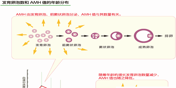 AMH值0.25卵巢早衰能做试管婴儿吗