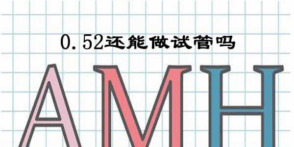 amh值0.52还能做试管婴儿吗