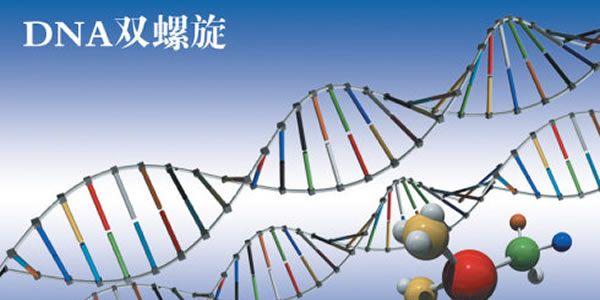 影响试管婴儿成功率的因素