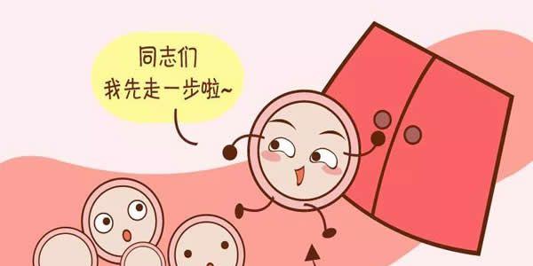试管婴儿备孕注意事项