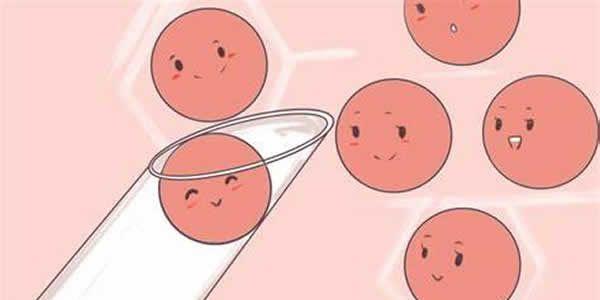 盘点备孕期卵泡注意事项