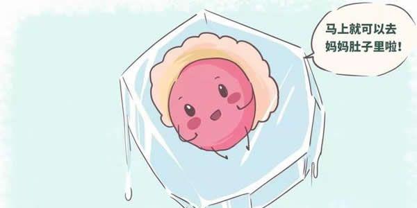 解冻胚胎