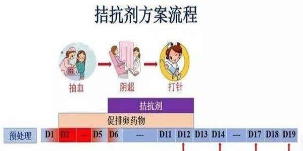拮抗剂方案