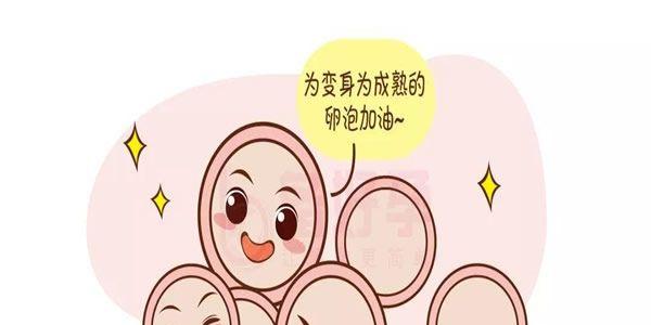 促排卵方案