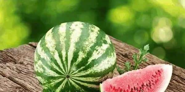 试管移植后禁忌水果  试管移植后禁忌吃什么水果