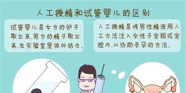 专家解密-人工授精和试管婴儿的3个区别