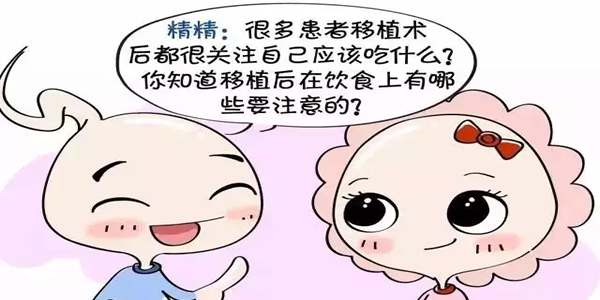 试管婴儿移植后饮食攻略