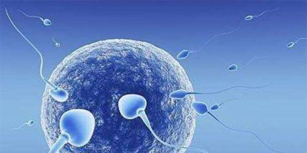 src=http___www.ivf-daiyun.cn_uploads_allimg_190711_1-1ZG1114640D3.jpg&refer=http___www.ivf-daiyun.jpg