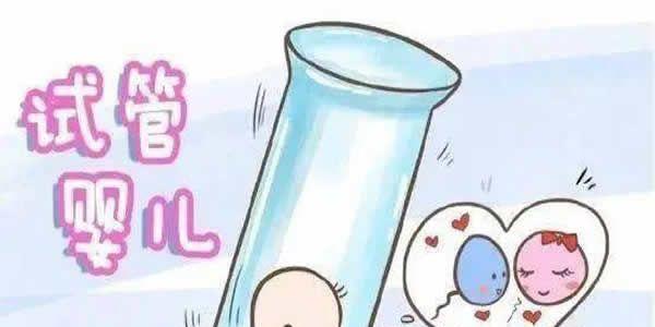 第三代试管婴儿成功率