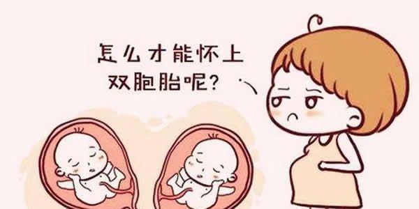 试管婴儿双胞胎