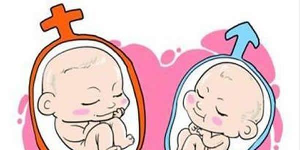 试管婴儿双胞胎