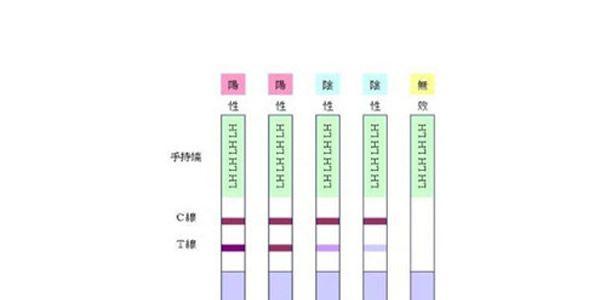 排卵试纸强阳两条杠示意图