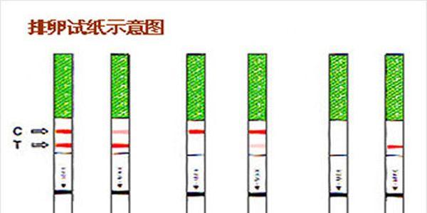 排卵试纸结果示意图