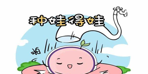 移植后注意事项有哪些