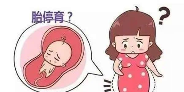 胎心胎芽都有了为什么还会胎停育？导致胎停育的具体原因分析