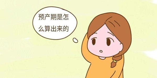 试管婴儿怎么计算预产