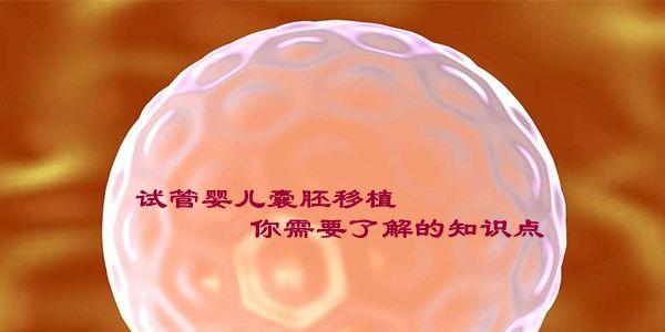 试管婴儿囊胚移植你需要了解的知识点