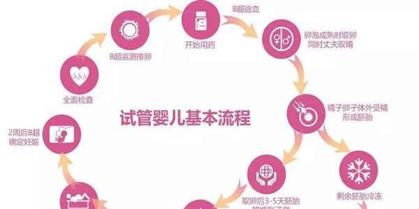 做试管婴儿的流程