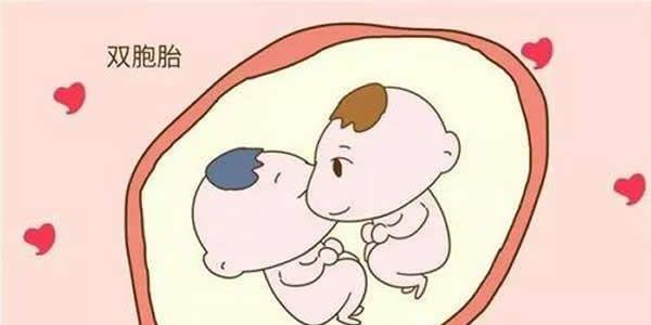 试管婴儿双胞胎