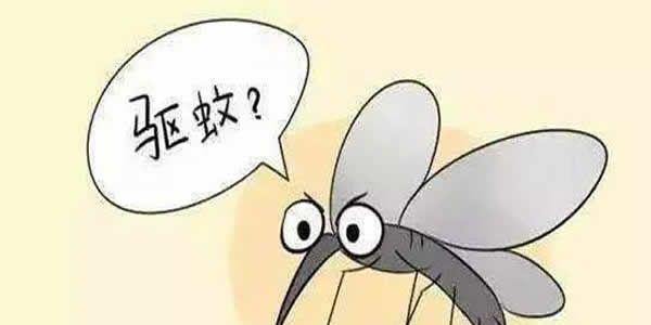 备孕怀孕期间防蚊的几个小妙招