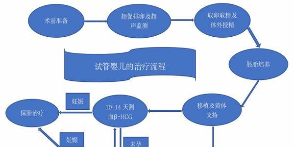 试管流程