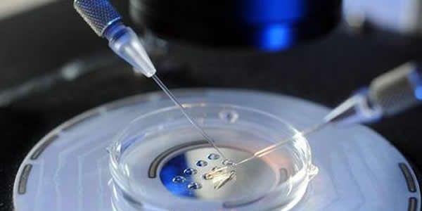 盘点关于试管婴儿8个常见相关问题的专业回答