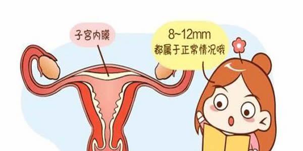 哪些人做试管容易成功