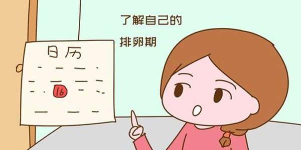 女性的排卵期是什么时候