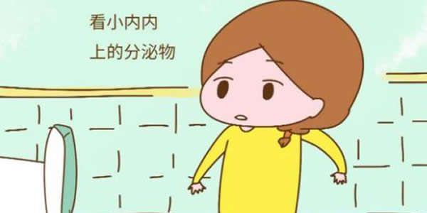 女性的排卵期是什么时候