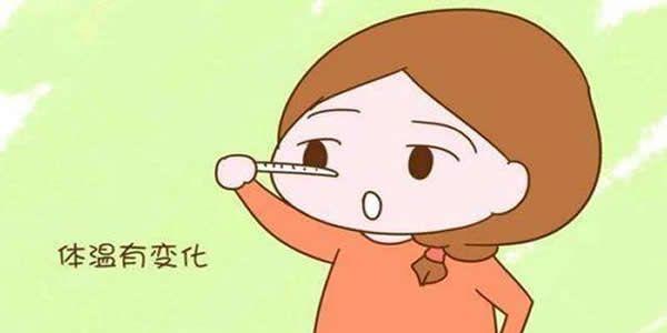 女性的排卵期是什么时候