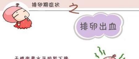 排卵征兆排卵出血