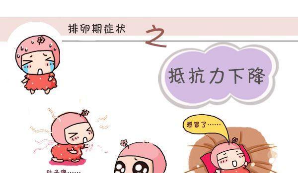 排卵期征兆 抵抗力下降