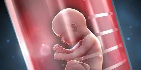 甘肃试管婴儿医院排名最好