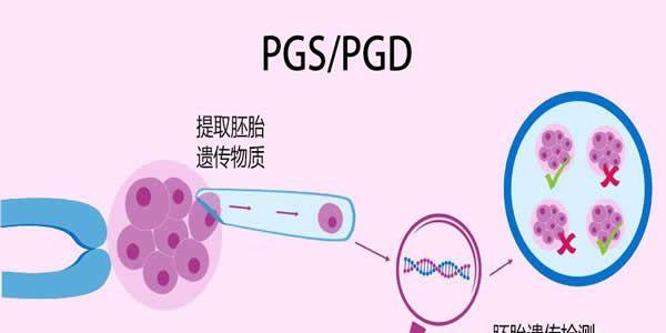 三代试管pgs/pgd的区别