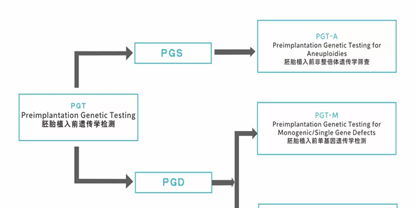 三代试管pgs/pgd的区别